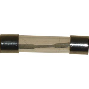 Picture of Fuse Glass 20 Amp 30mm Long (Per 5)
