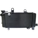 Picture of Radiator Right Hand Honda VTR100F3-F6 03-06 (Made in Japan)