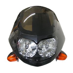 Picture of Headlight Twin and Fairing including Indicators Carbon Look