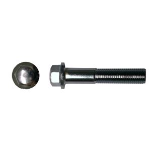 Picture of Bolts Chrome Hexagon 10mm x 35mm (12mm Spanner Size)(pitch 1.25mm) (Per 10)