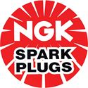Picture of NGK Spark Plugs B10EG (single)
