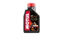 Picture of Motul 710 2T 100% Synthetic (12)