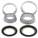 Picture of Taper Bearing & Seal Kit Yamaha DT125 74-81, DT175 74-81 GT80 73-80DT50