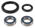 Picture of Wheel Bearing Kit Front Suzuki DRZ400E 2000-2007, DRZ400S, SM 2000-2020